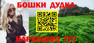 твердый Новодвинск