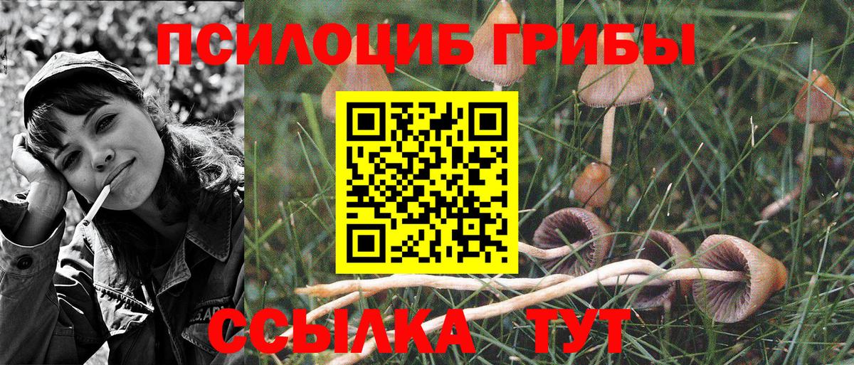 Симферополь  Галлюциногенные грибы GOLDEN TEACHER  Вход с VPN 